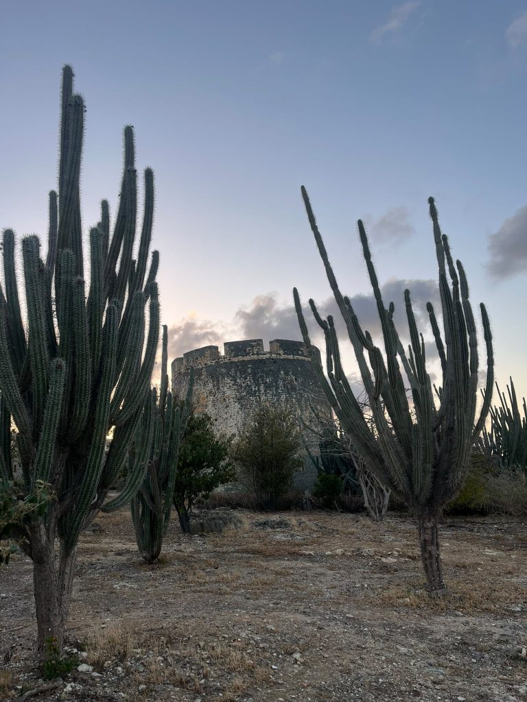 Cactus colonnaires et vieux fort à Curaçao