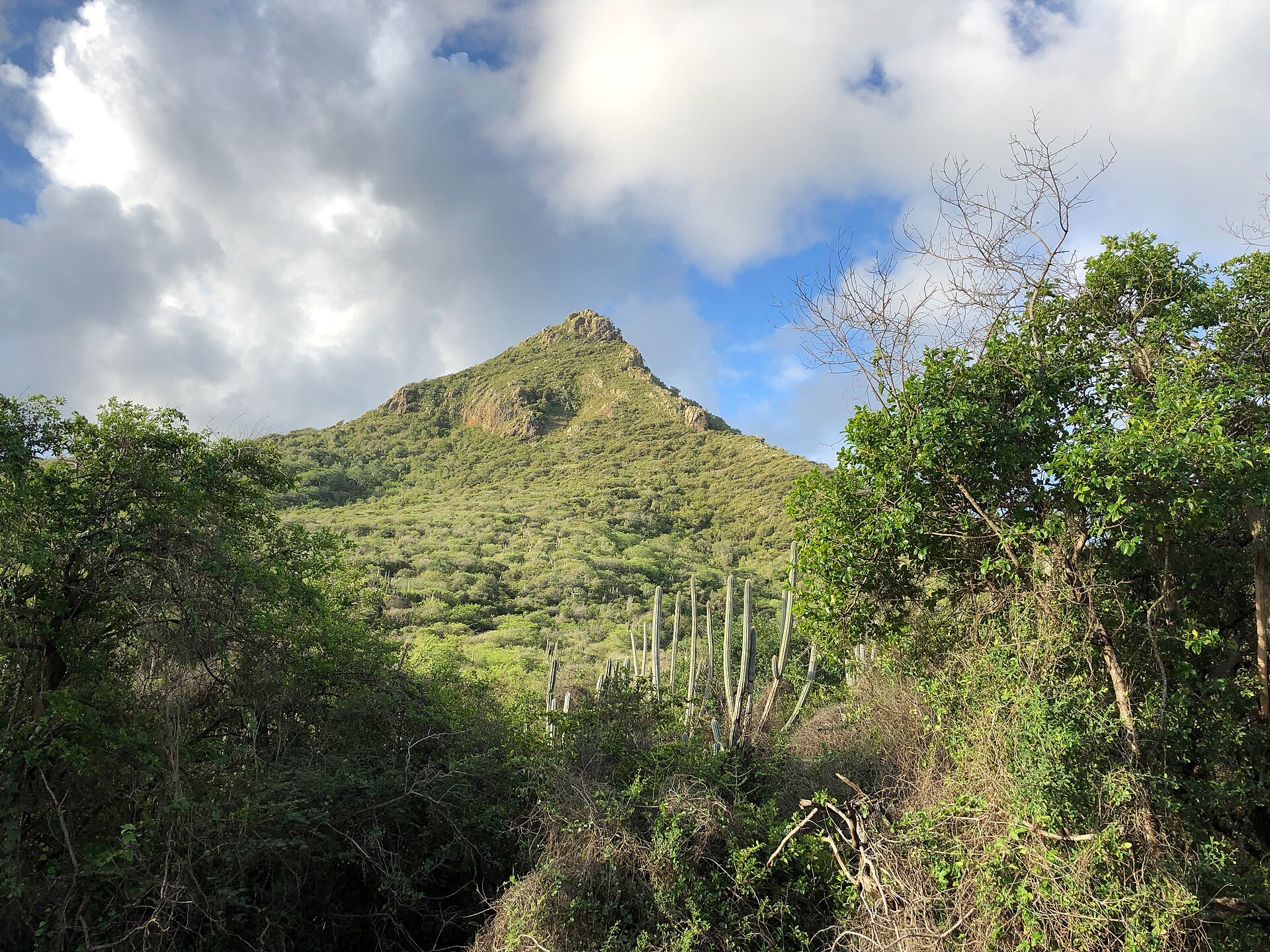 Le mont Christoffel, point culminant de Curaçao